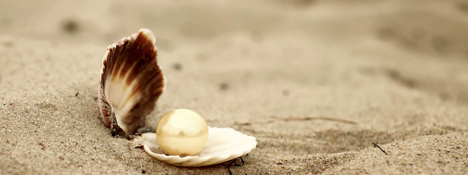 Zu sehen ist eine Perle in einer Muschel im Sand / Perle