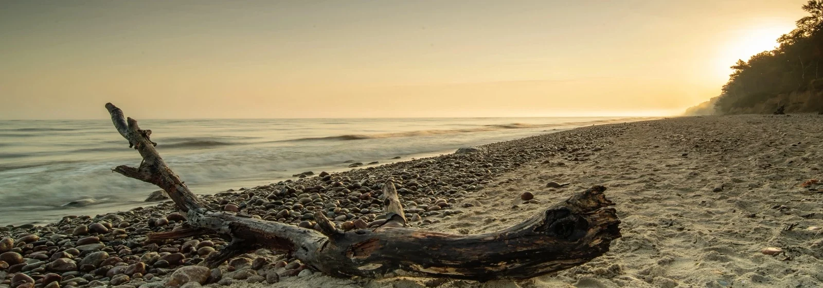 Zu sehen ist ein Treibholz am Strand im warmen Abendlicht als Sinnbild für Loslassen / Ciao
