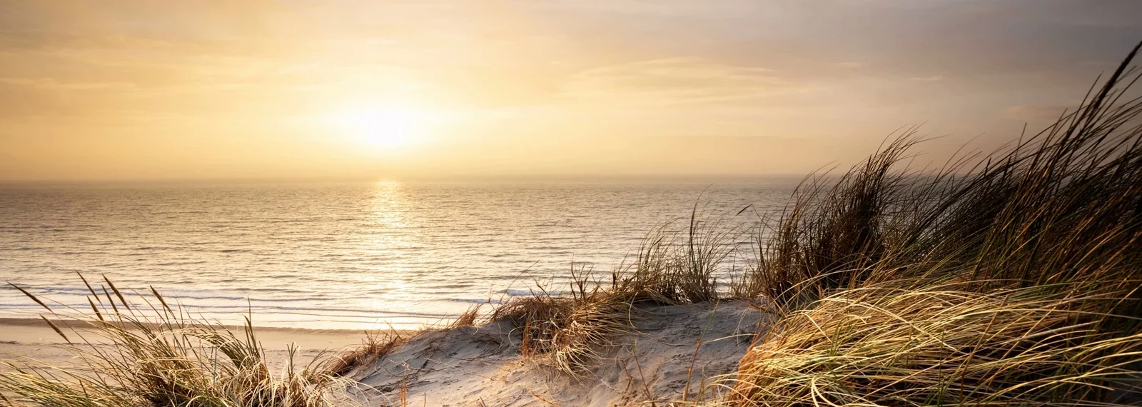 Zu sehen ist das Meer hinter Gräsern und einem Gelände / Da-Heim